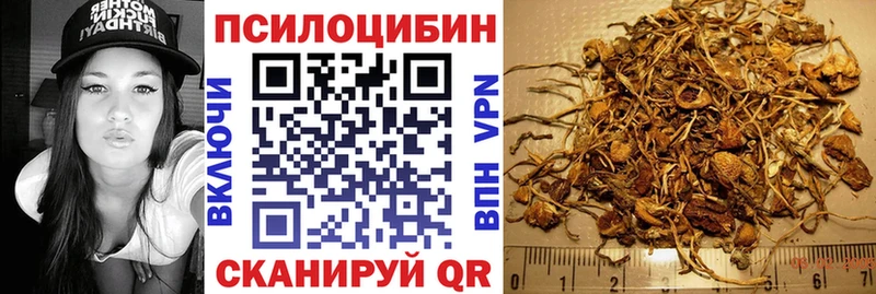 ОМГ ОМГ tor Березники Галлюциногенные грибы Cubensis