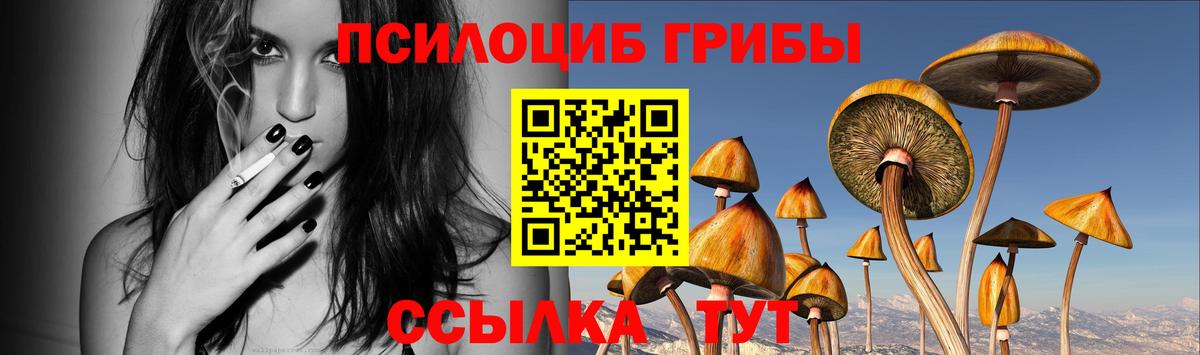 Галлюциногенные грибы Magic Shrooms  Псилоцибиновые грибы Psilocybine cubensis  Березники  где купить наркоту  Вход с VPN 